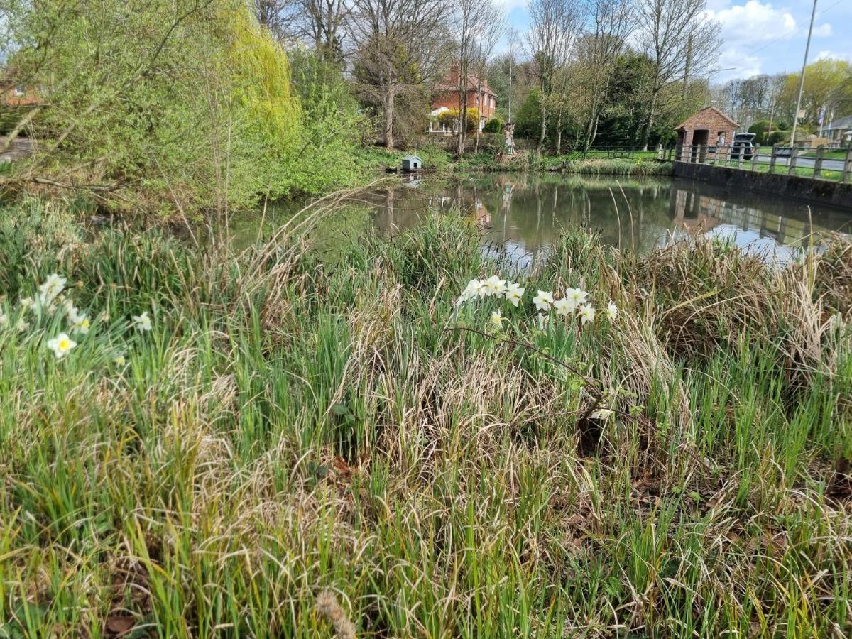 Gorgeous 1 Bed Apartment In Wetwang Driffield Zewnętrze zdjęcie